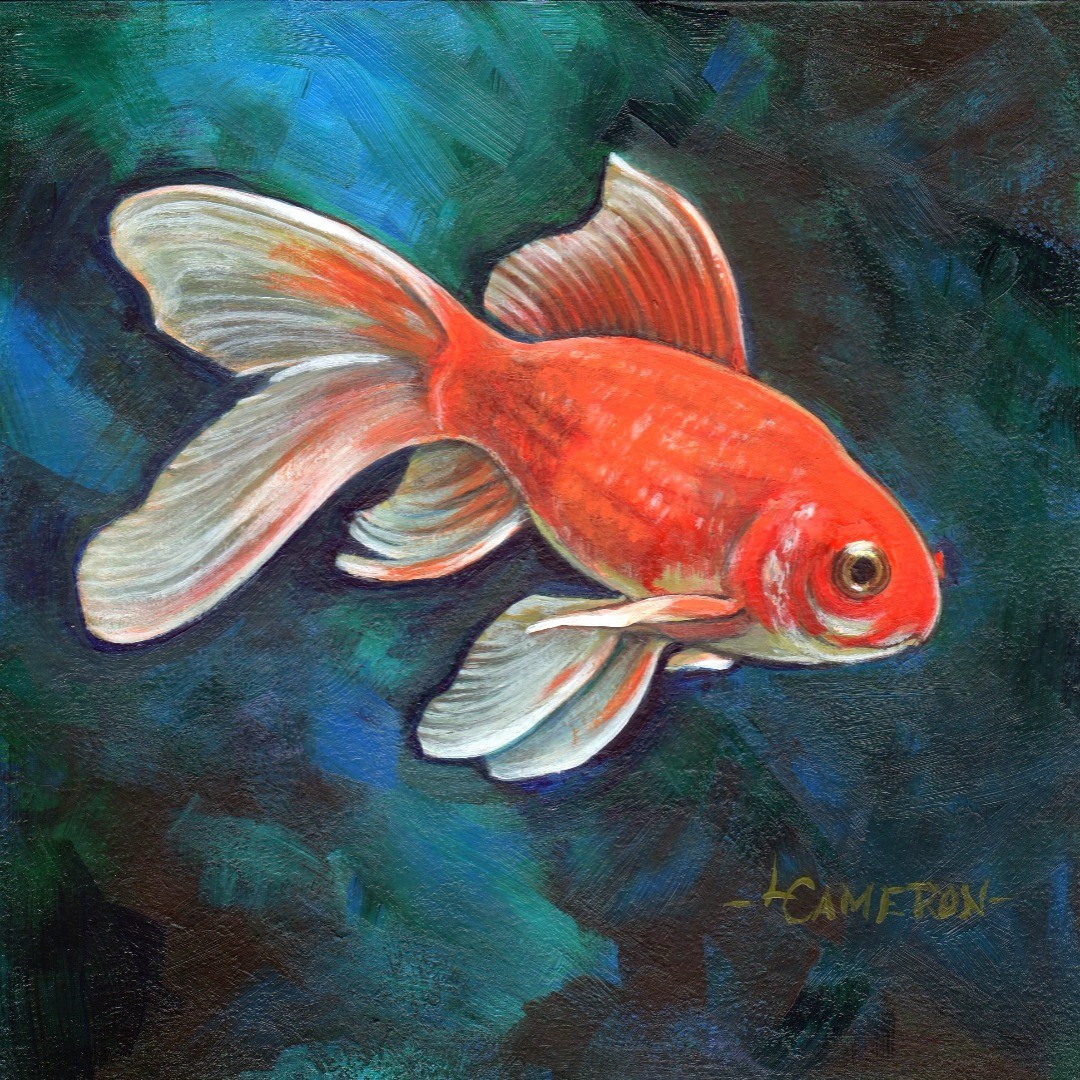 Goldfish