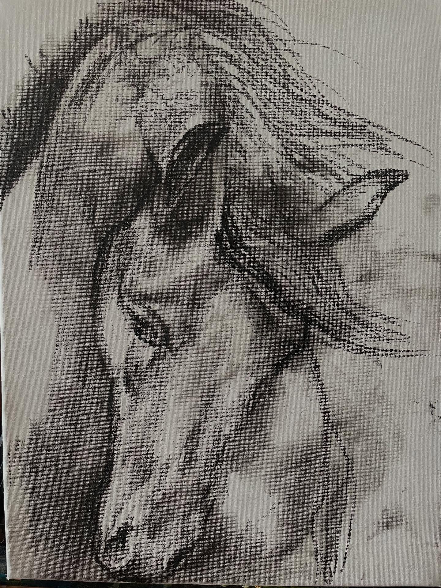 Equine