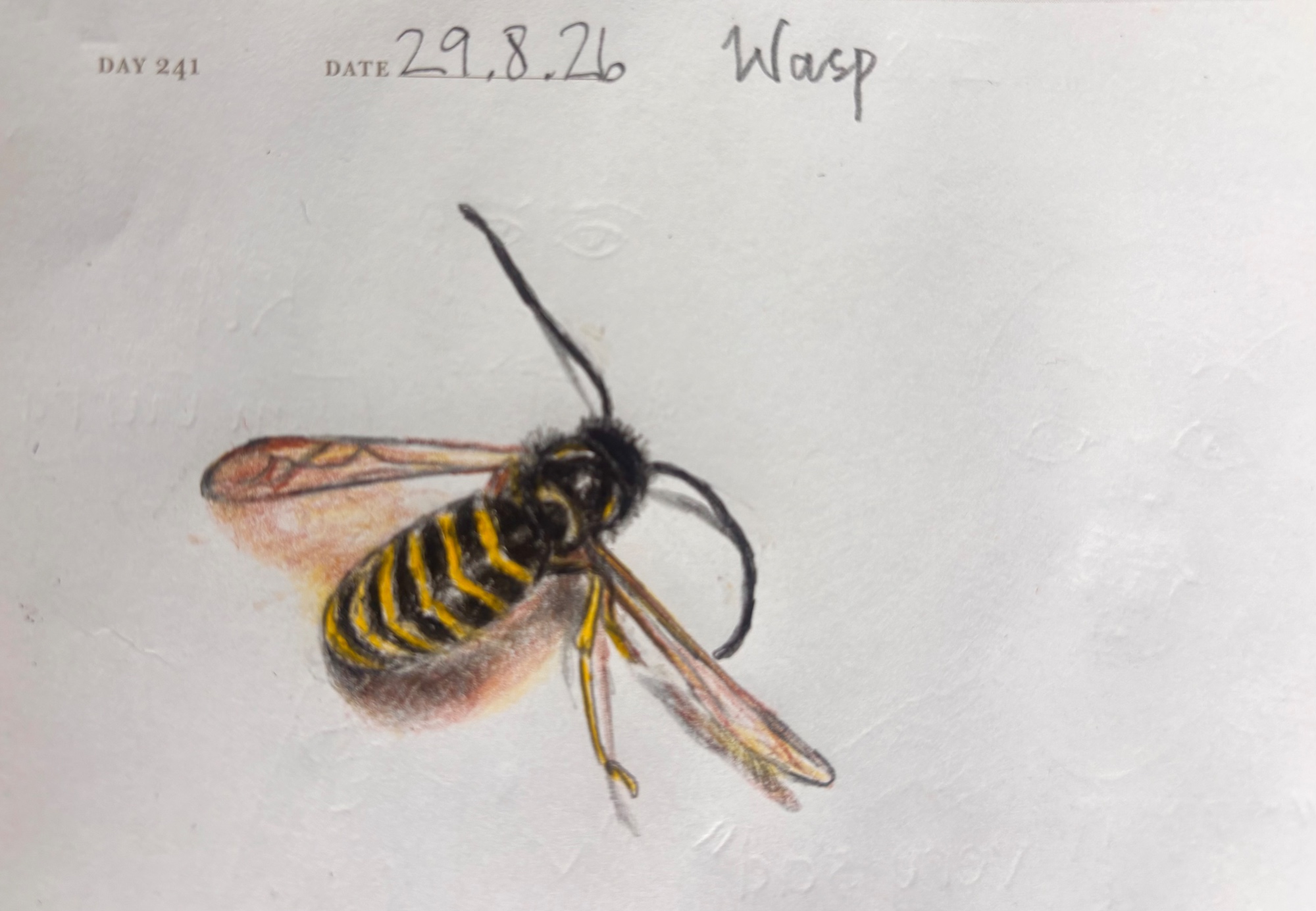One Sketch A Day 2026