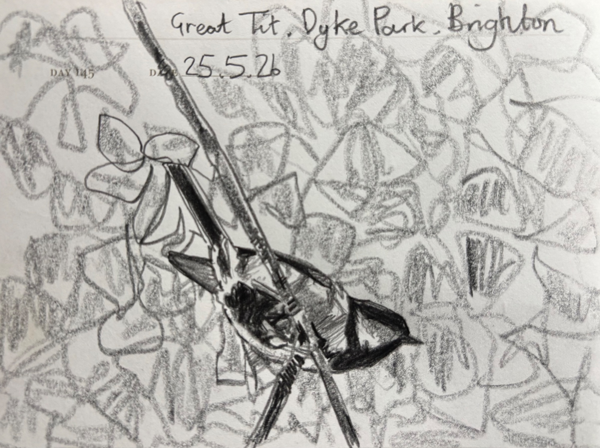 One Sketch A Day 2026
