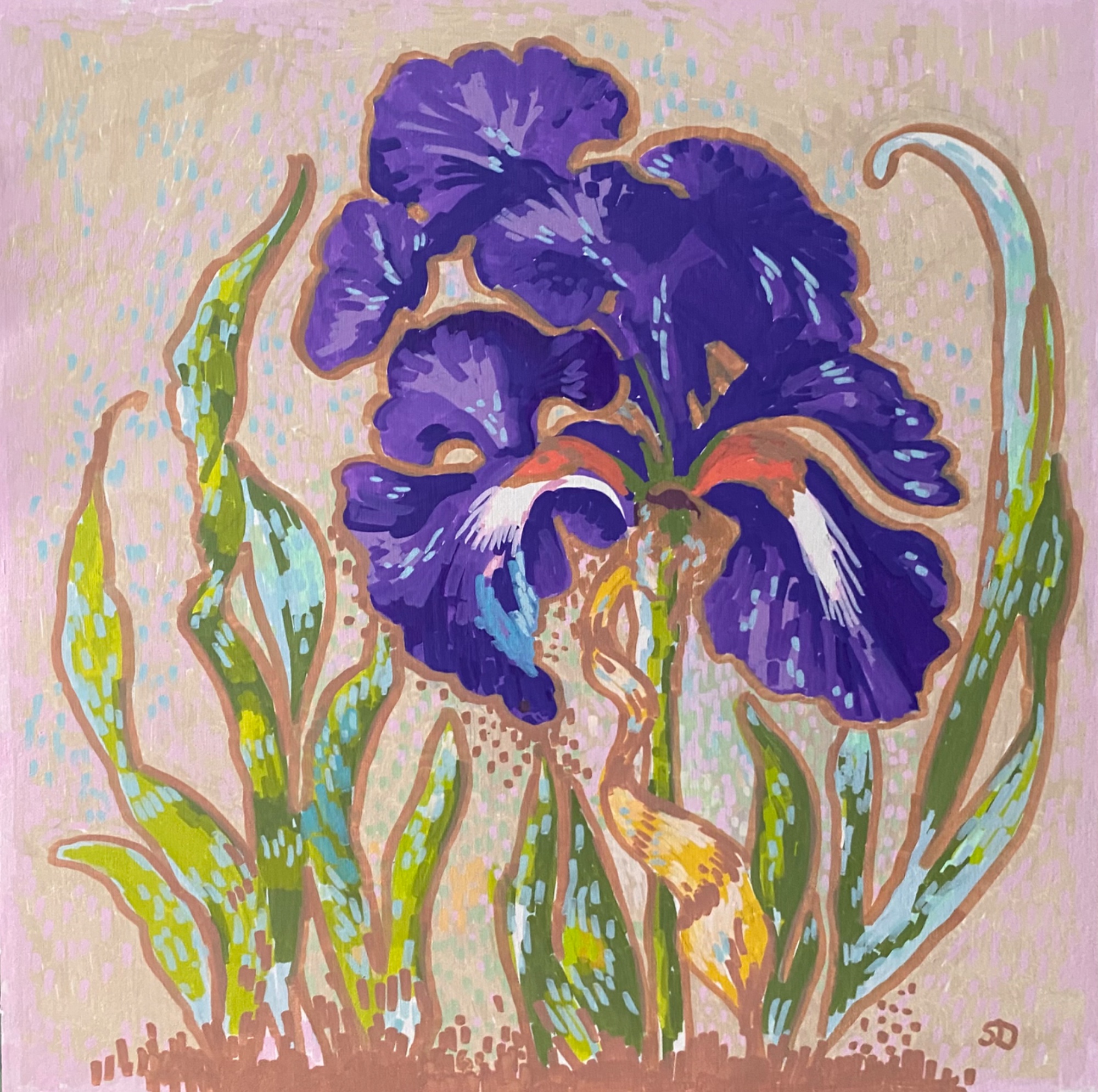 Nova Iris