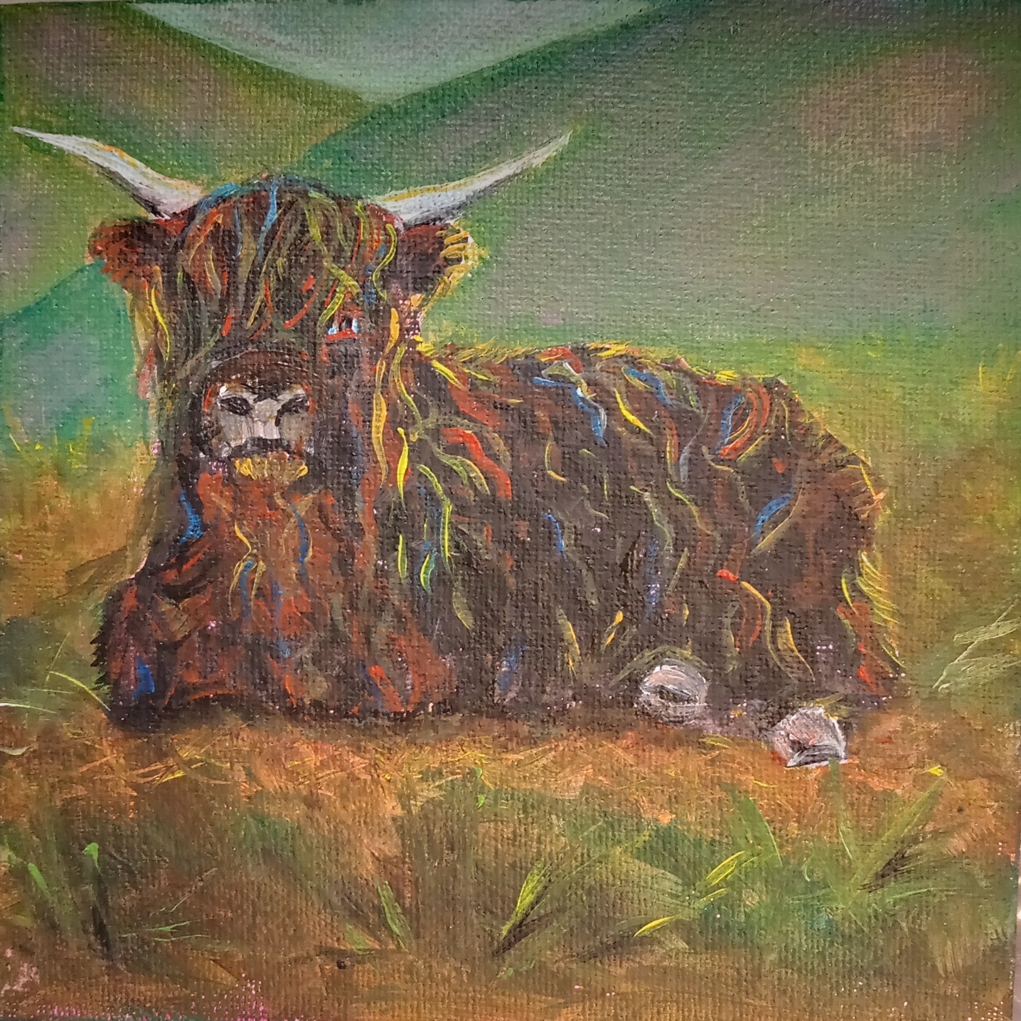 Original artwork, black Highland coo.