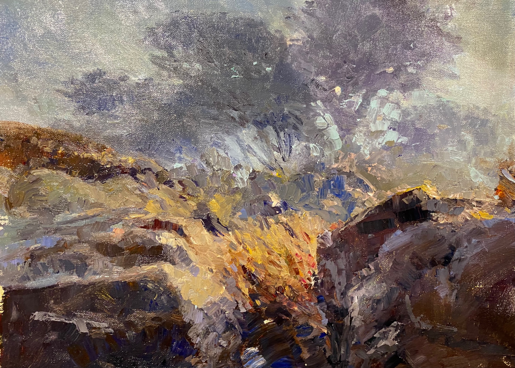 This painting was accepted in 2025 Landscape Competition and