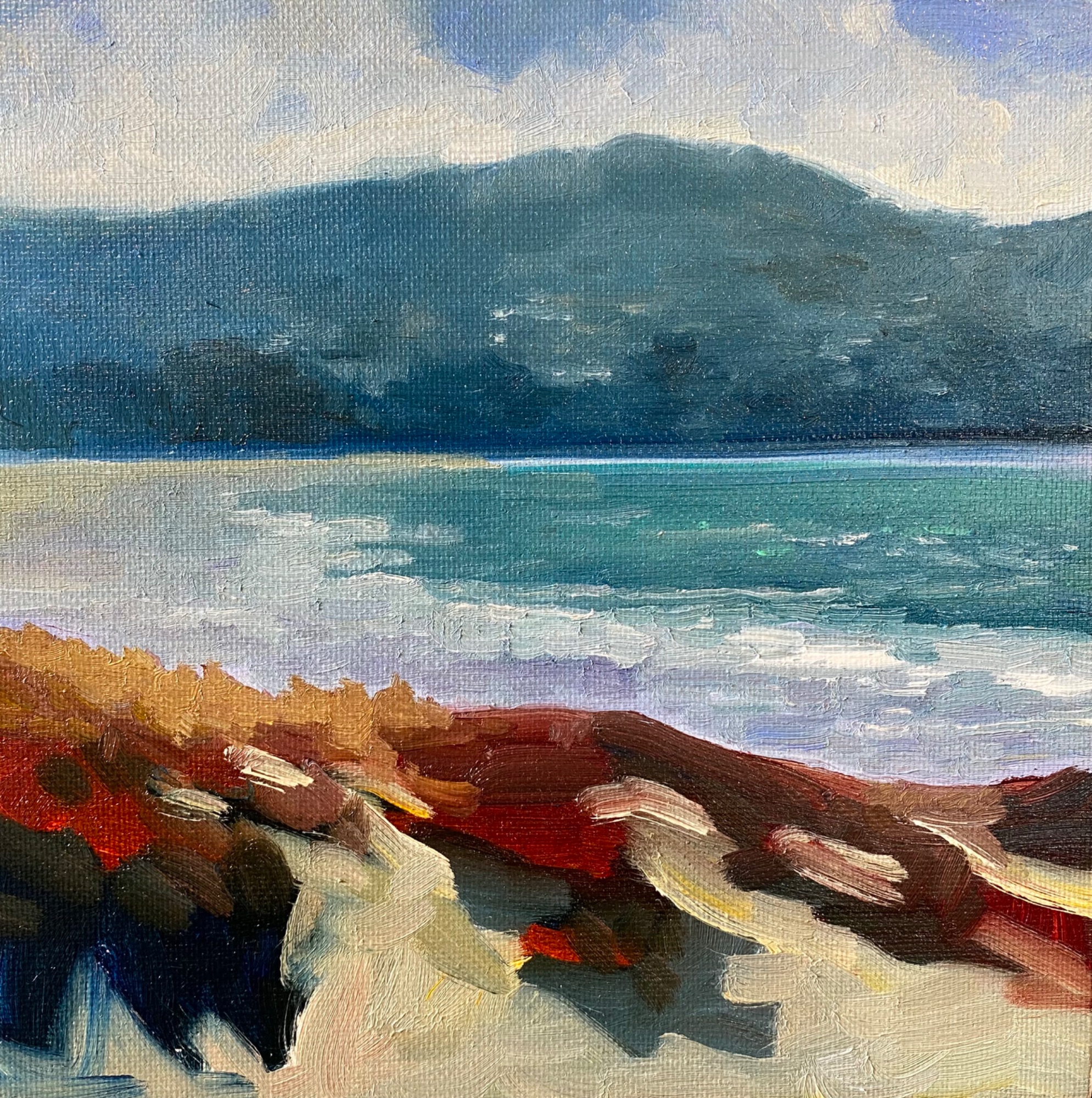 Winter and ice plants, beach and surf.