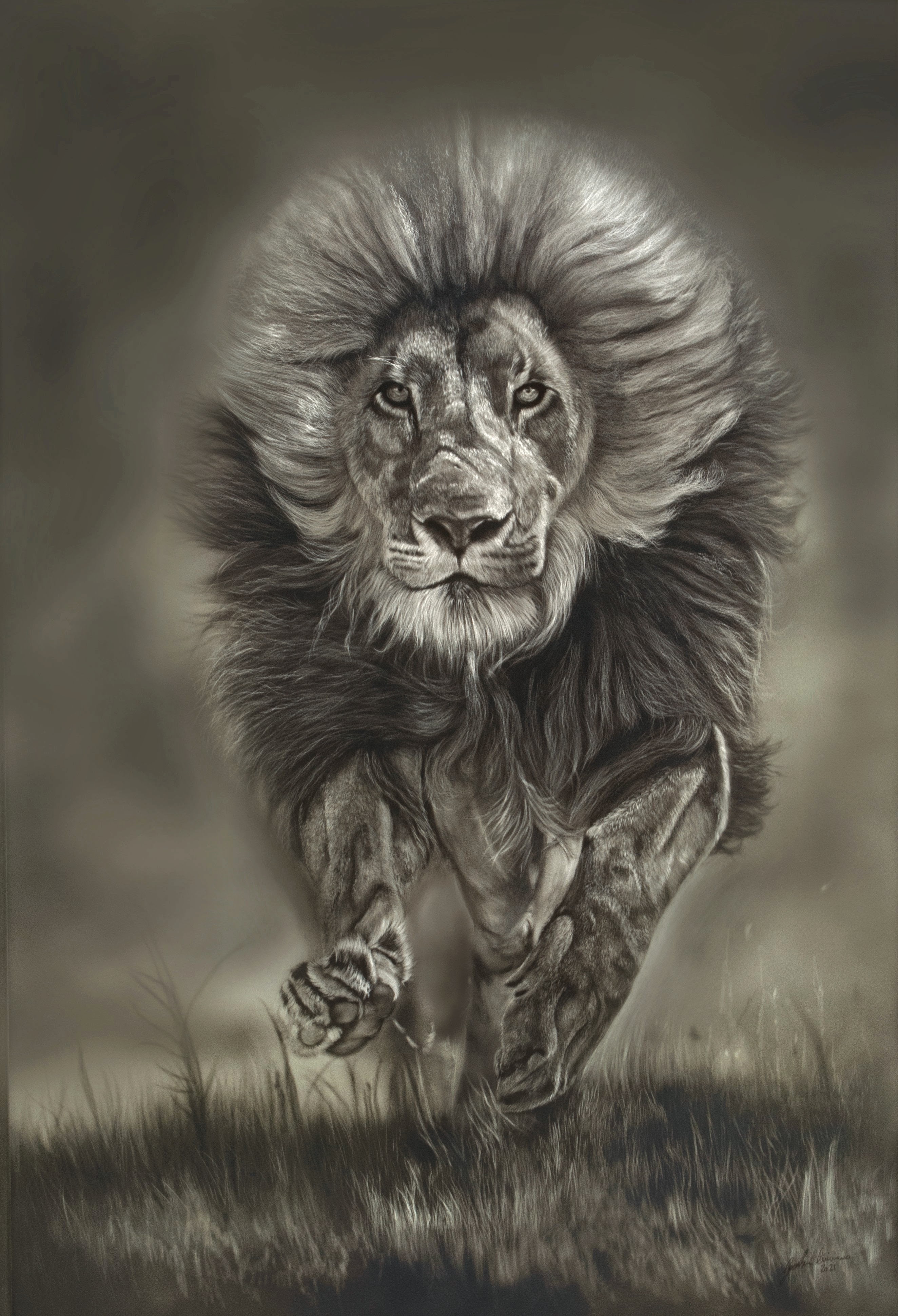 "Running Free"
Power in motion, freedom in every stride. This magnificent male...