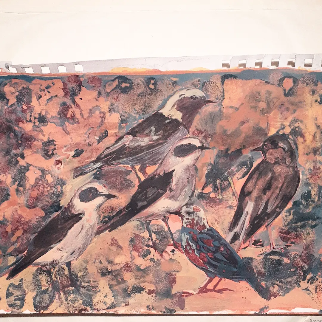 🪶🦤🪶
#feathers
#tweets
#acrylicpainting 
#page
#worksonpaper 
#sketchboo...