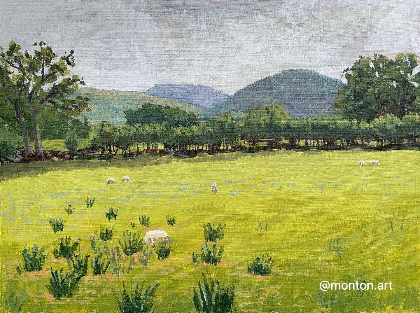 Sheep n’ mountains, 12x9” acrylic on panel. Available, DM me.
.
Close up of ye...