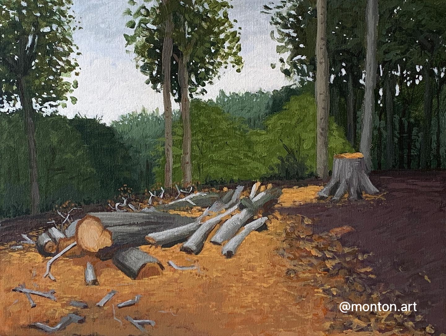‘Logpile’, 16x12” acrylic. Available unframed. DM me.
.
I am happy with the lo...