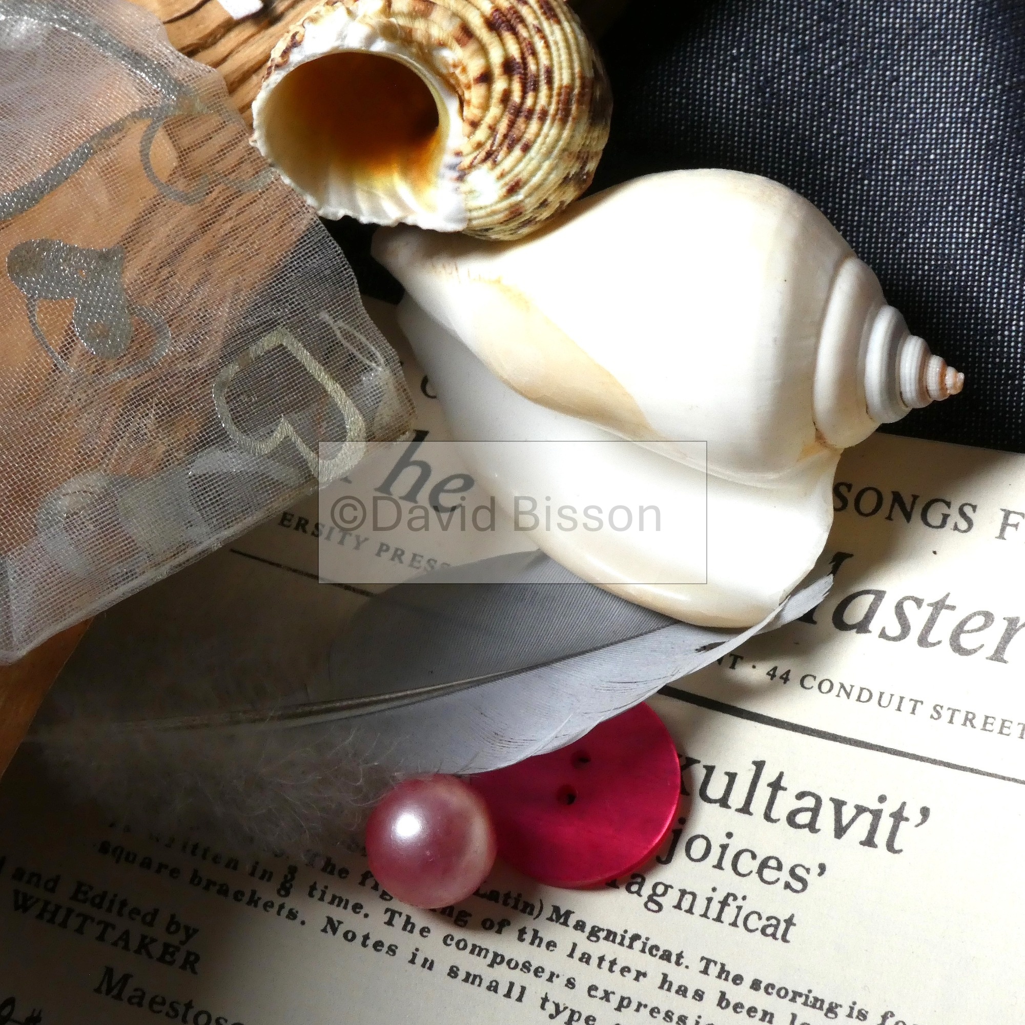 This work shows a collection of found objects and materials assembled in my stud...