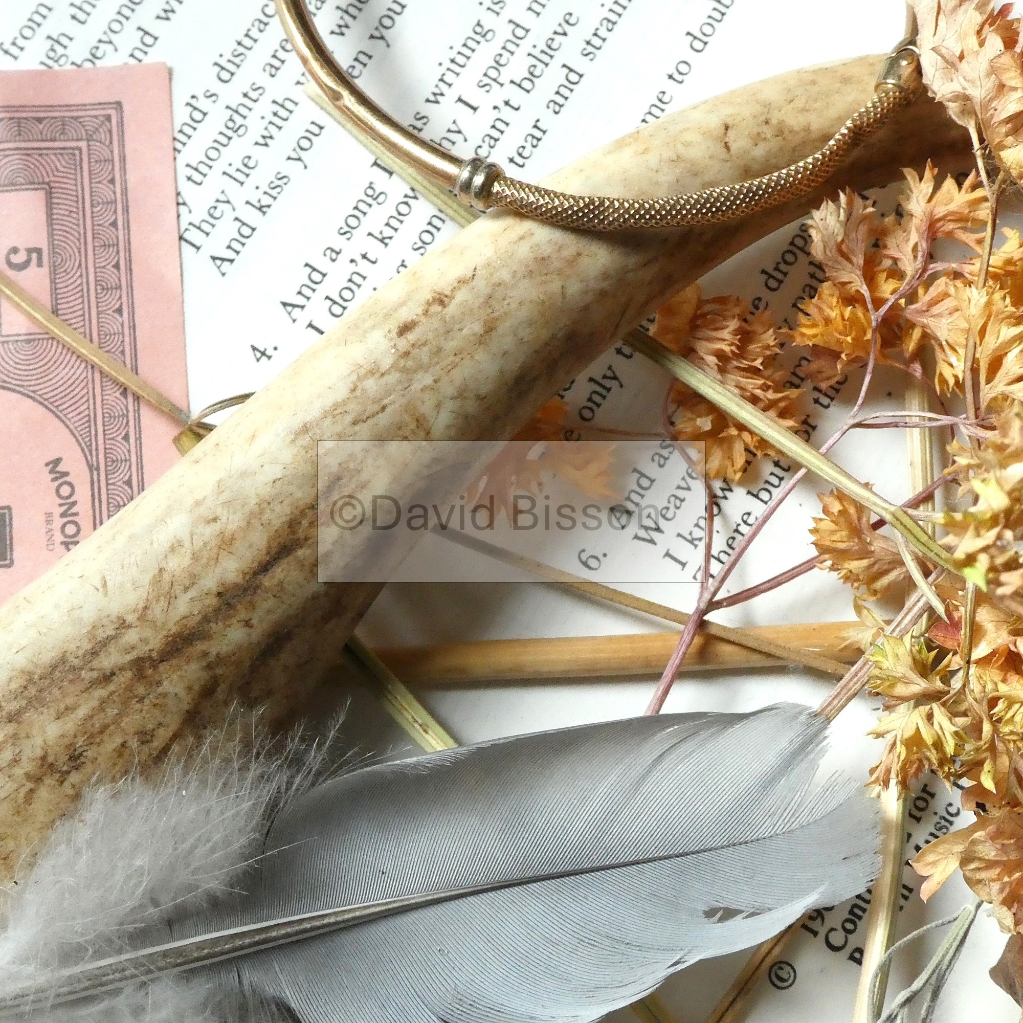 A selection of found objects, including a found gold bangle and a section of dee...