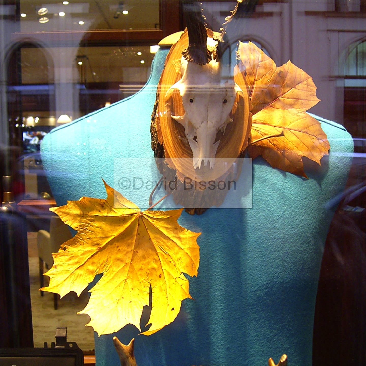 "Relics of the Fall". A print by David Bisson shown at the exhibition titled 'So...