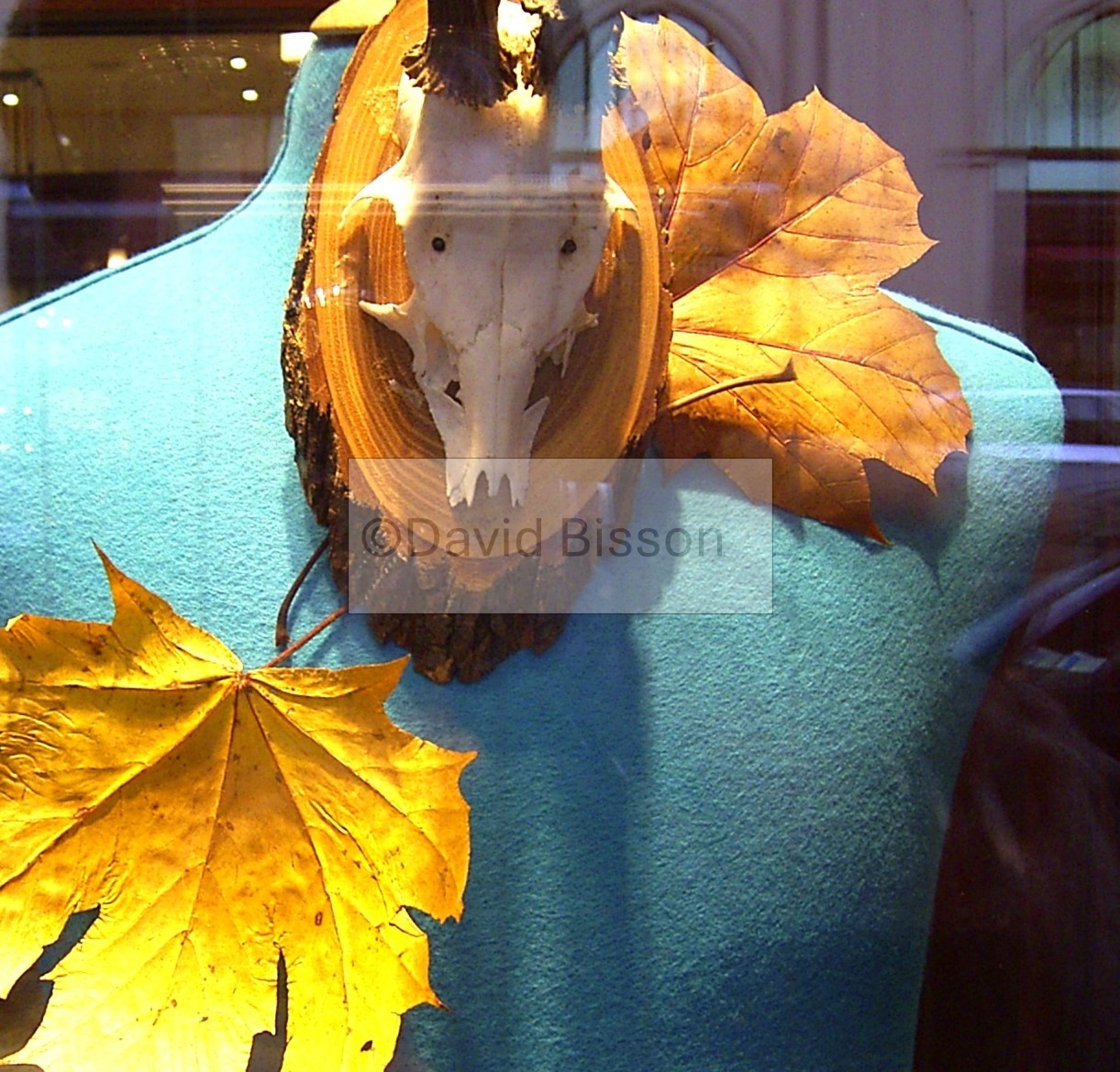Relics of the Fall