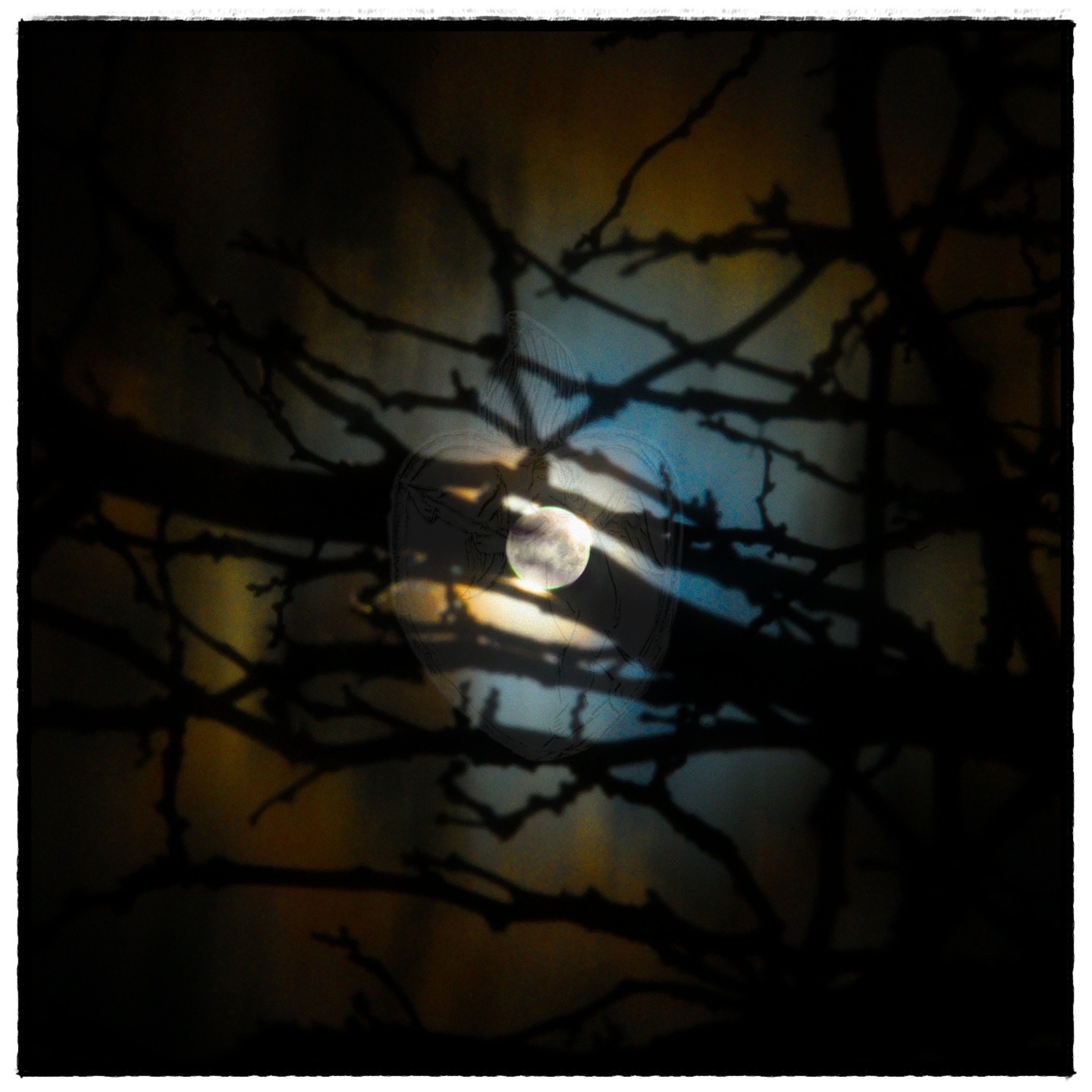 2026 Pink Moon

01-iv-026