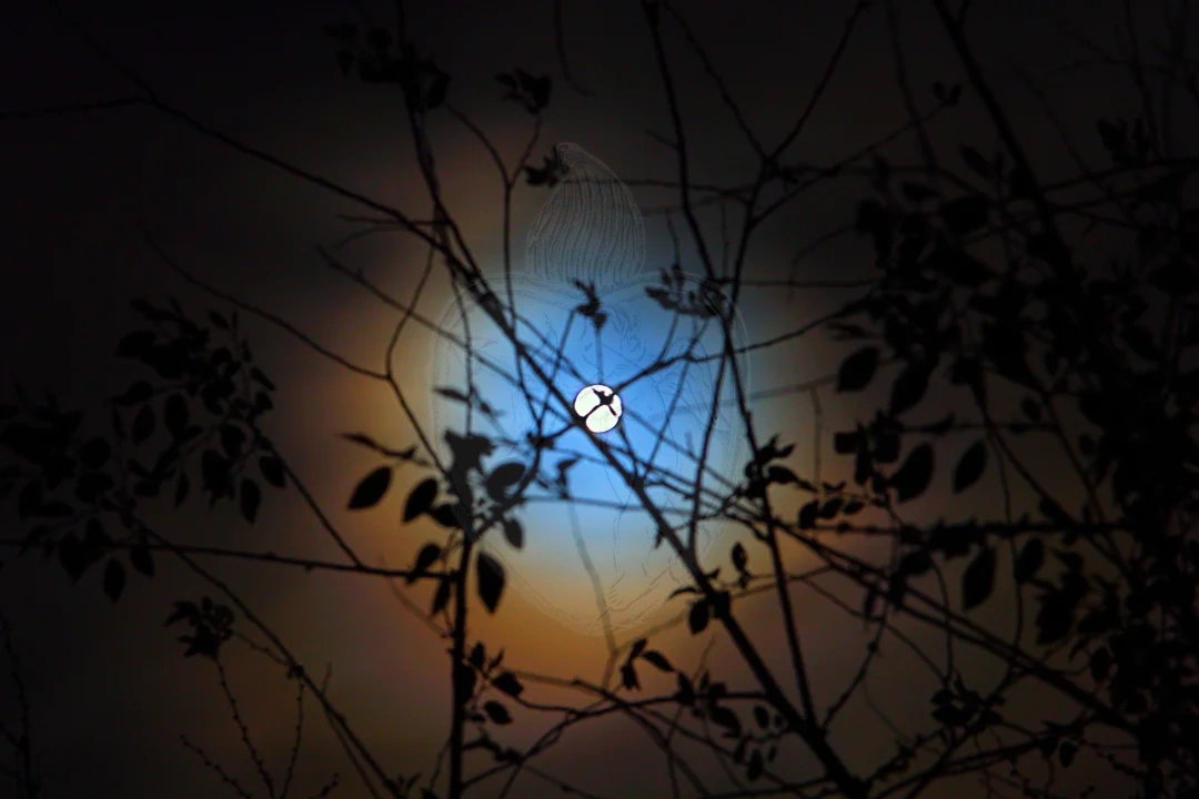 2026 Pink Moon

01-iv-026