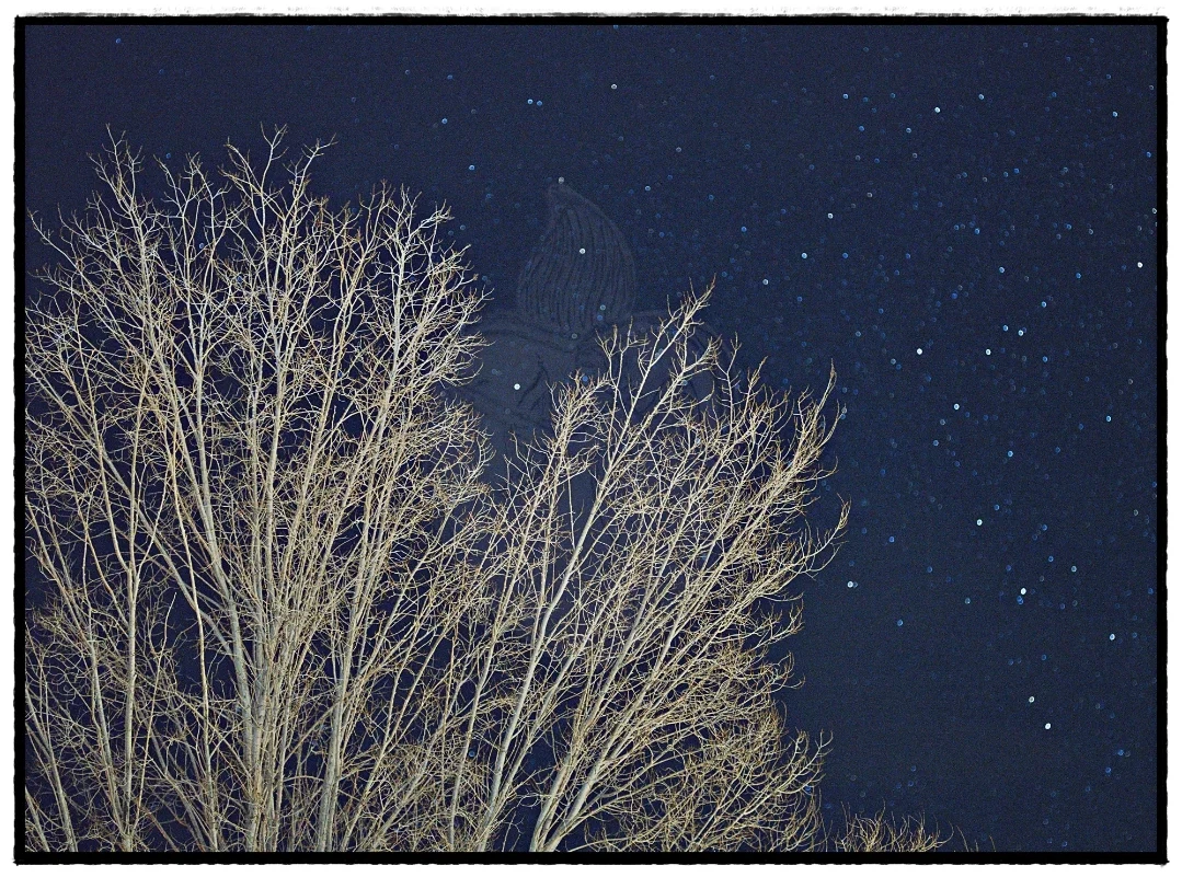 Nocturne