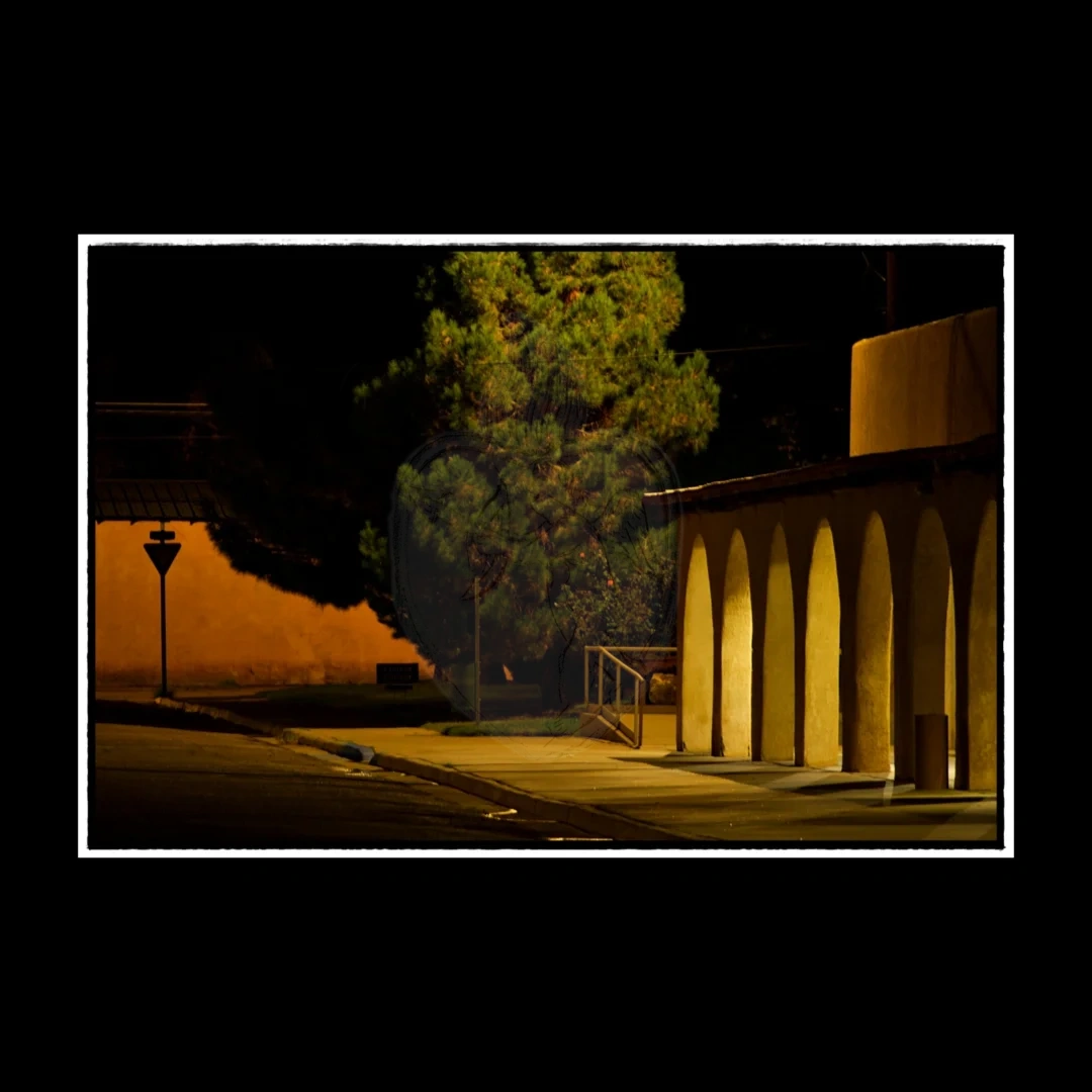T or C Nocturne

01-ix-025
