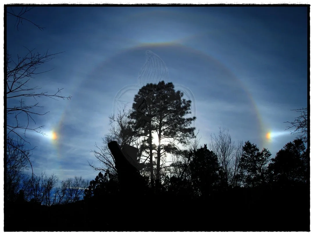 Sunbow

25-xi-024

@trees_of_darkness_ 
@tree_magic