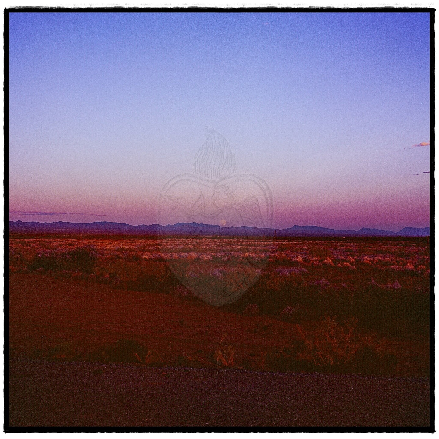 2024 Super Blue Sturgeon Moon on Film

18-viii-024

#Hasselblad501c
#KodakE...