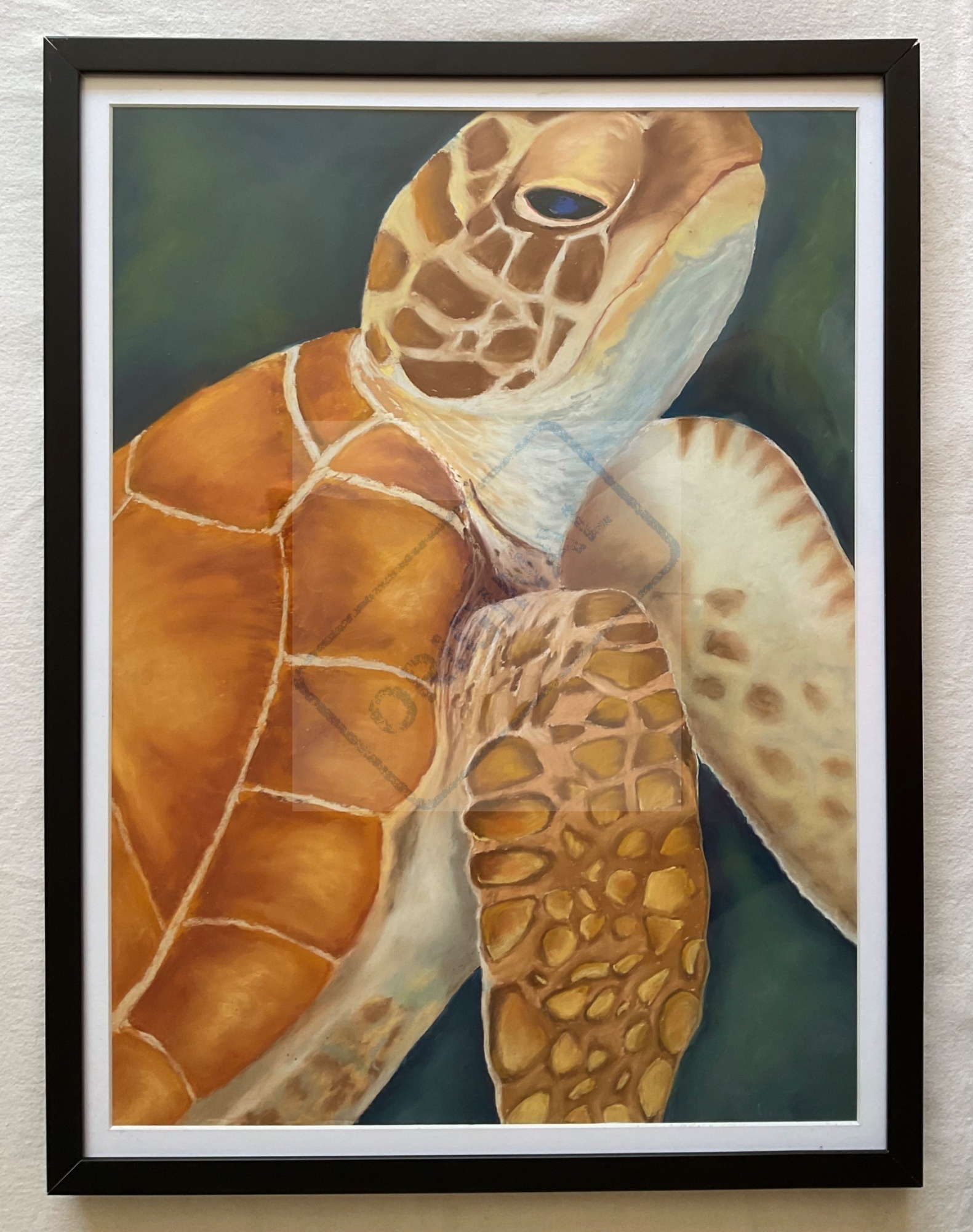 Exploring creatures of the sea